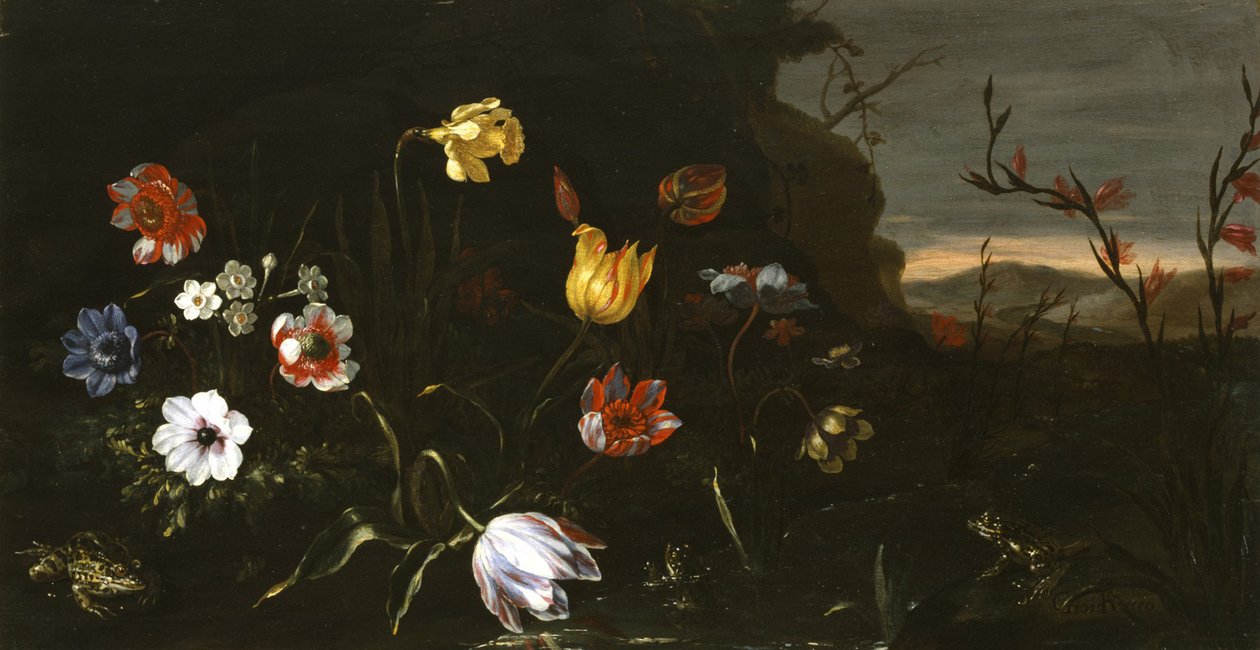 Blomster og frosker av Giuseppe Recco