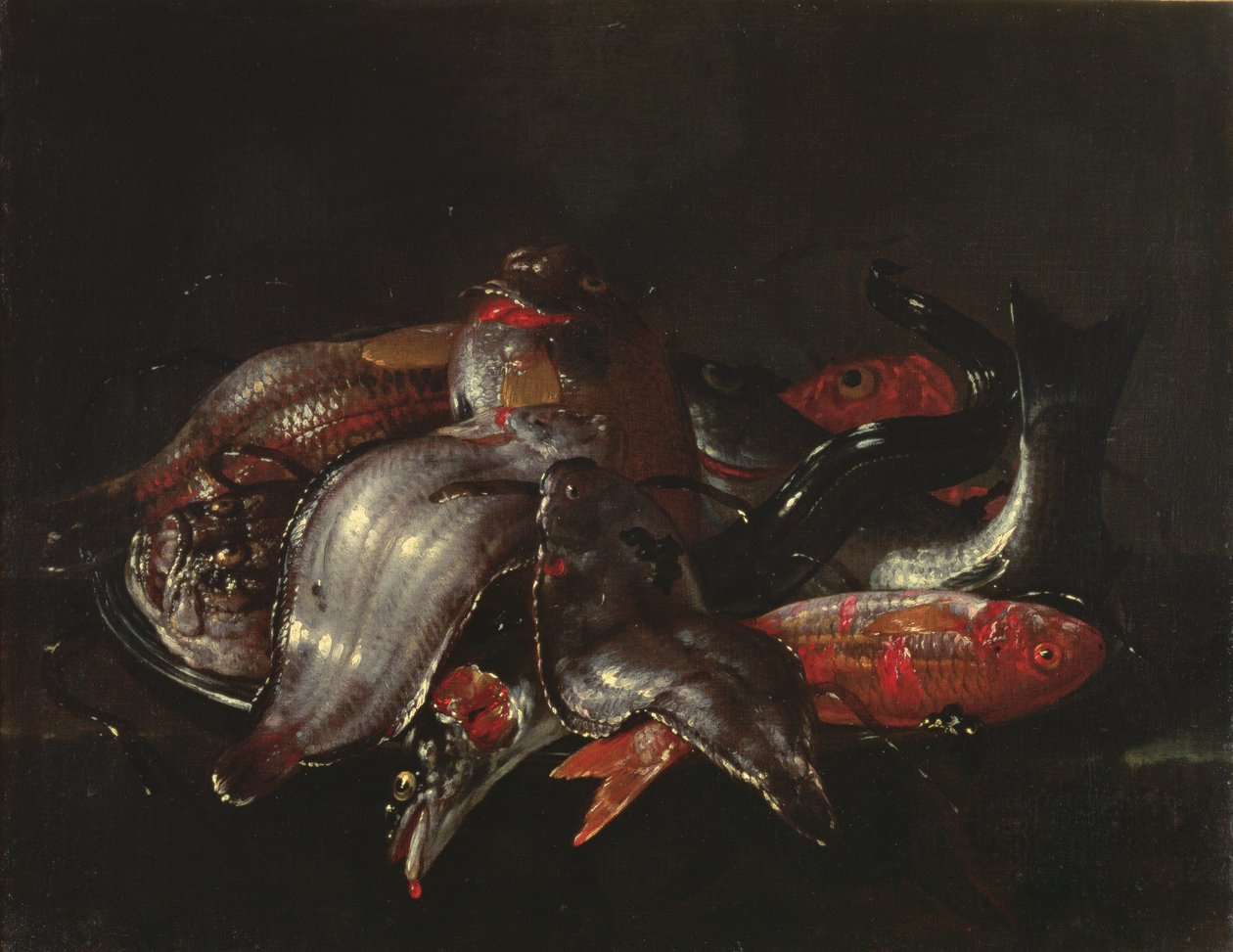 Stilleben av fisk, ca. 1670-80 av Giuseppe Recco