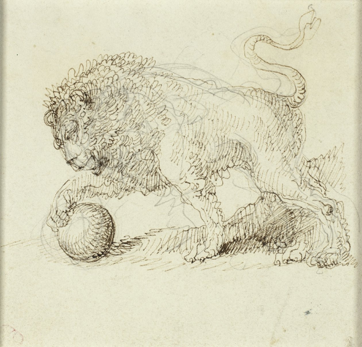Løve med ball av Giuseppe Bernardino Bison