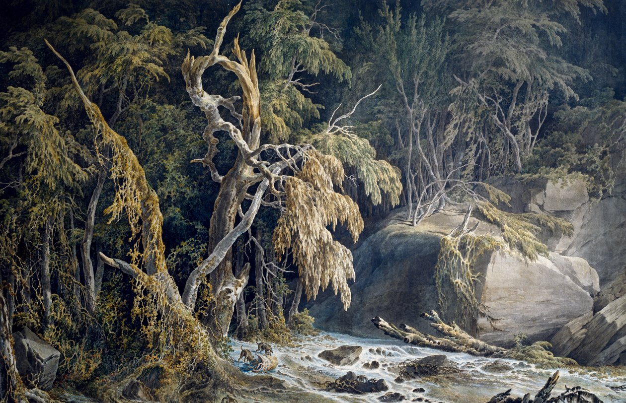 Steinete landskap med trær revet opp, av Giuseppe Pietro Bagetti (1764-1831). av Giuseppe Pietro Bagetti