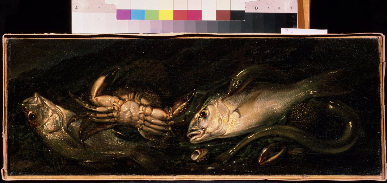 "Still Life with Fish and Crab" -maleri av Giuseppe Recco (1634-1695) Mikhail Kroshitsky Art Museum, Sevastopol (Sevastopol) Ukraina av Giuseppe Recco