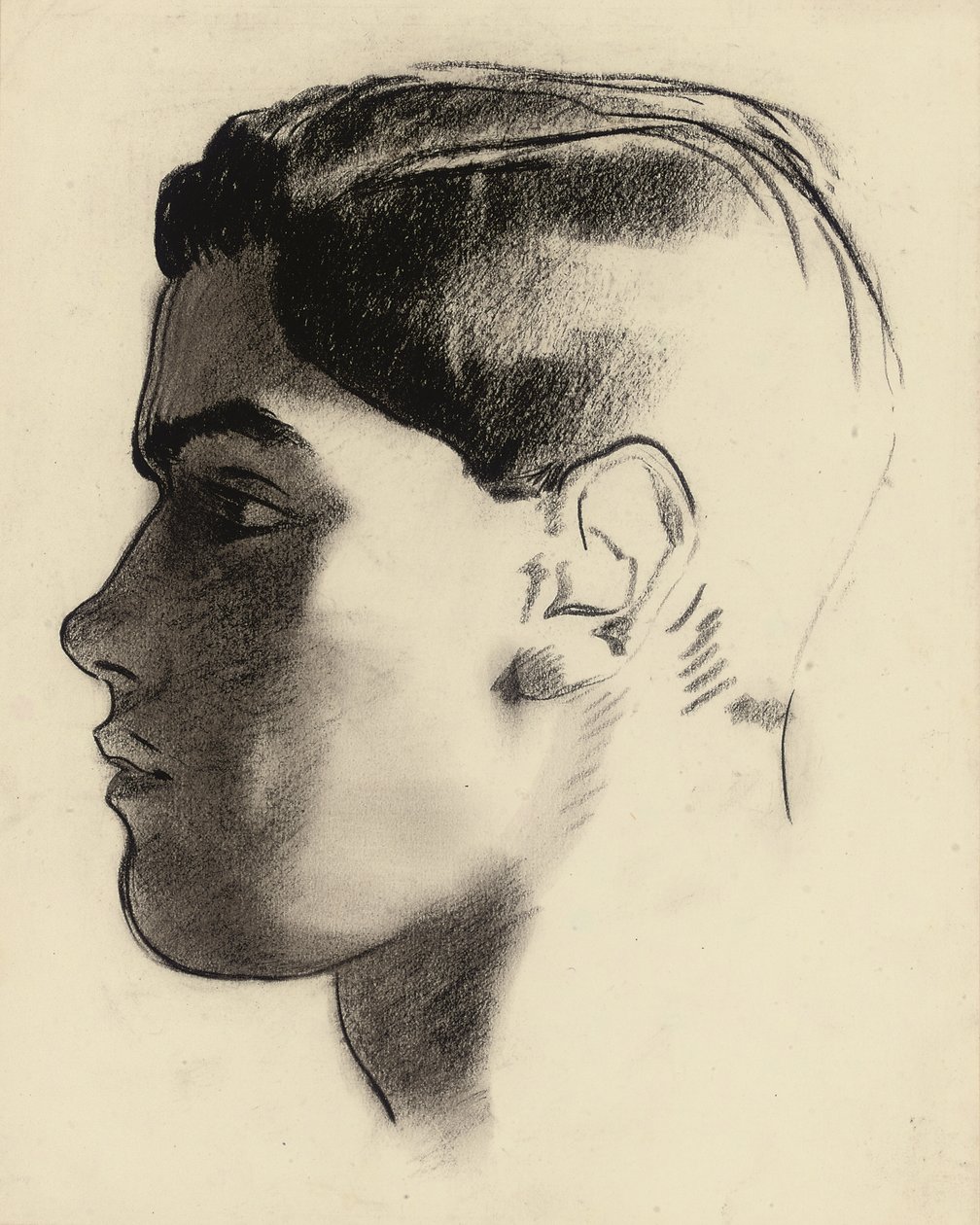 Hodet til en ung mann i profil (kull) av Glyn Warren Philpot