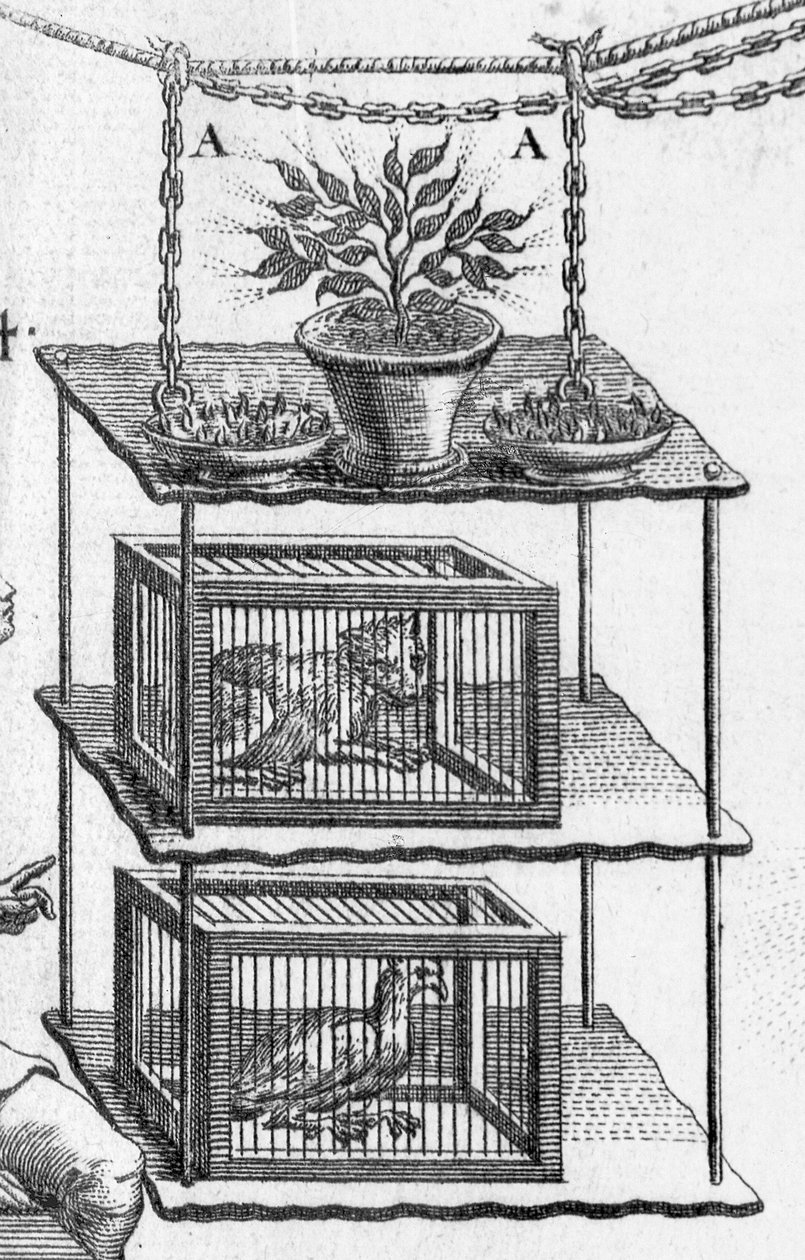 Eksperimenterer med elektrisitet, plate fra Essai sur lelectricite des corps av abbed Jean Antoine Nollet, detalj av dyr i bur, 1749 graveringsdetalj av 224419 av Gobin