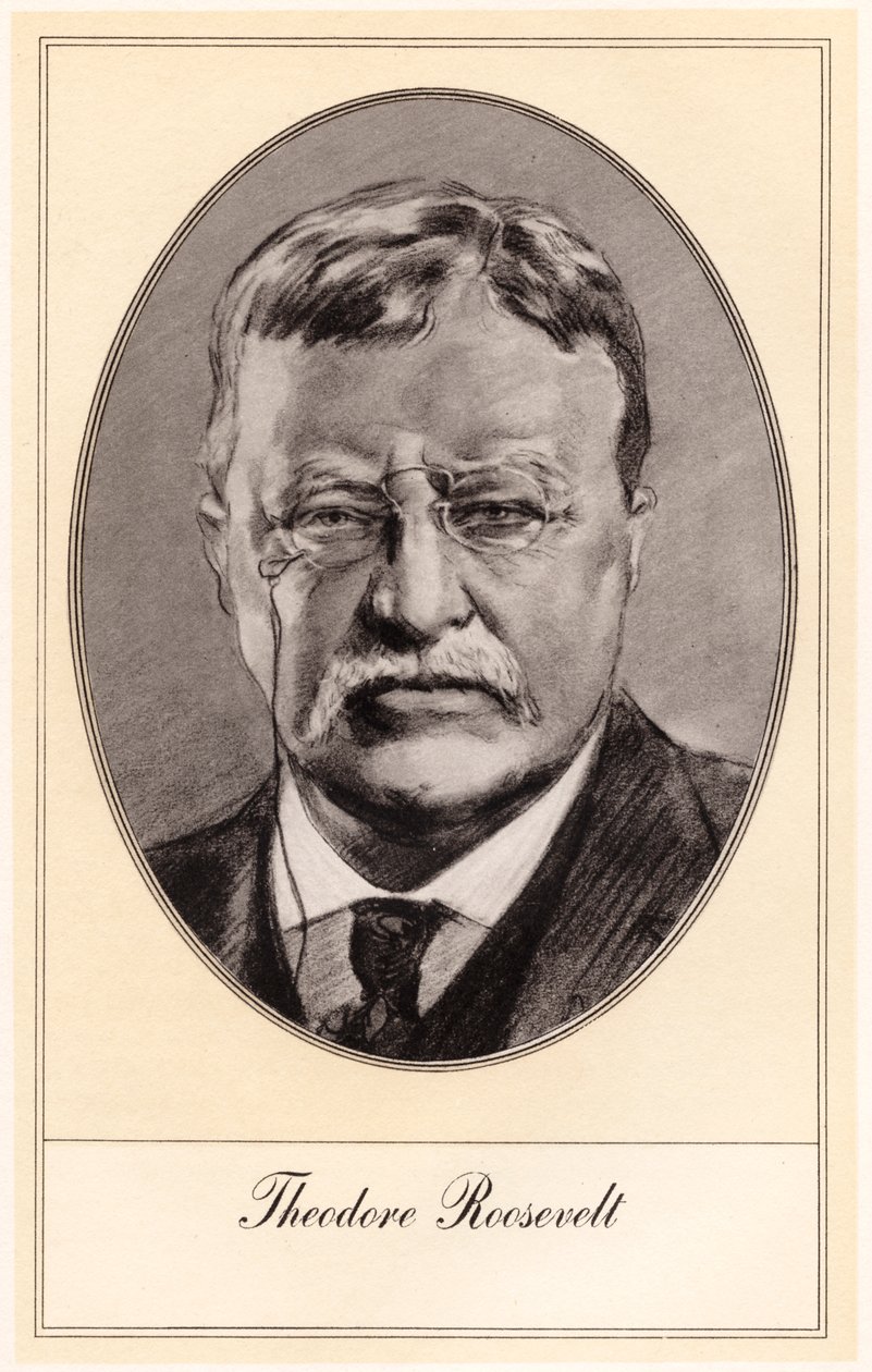 Theodore Roosevelt, 26. president i USA, tidlig på 1900-tallet. av Gordon Ross