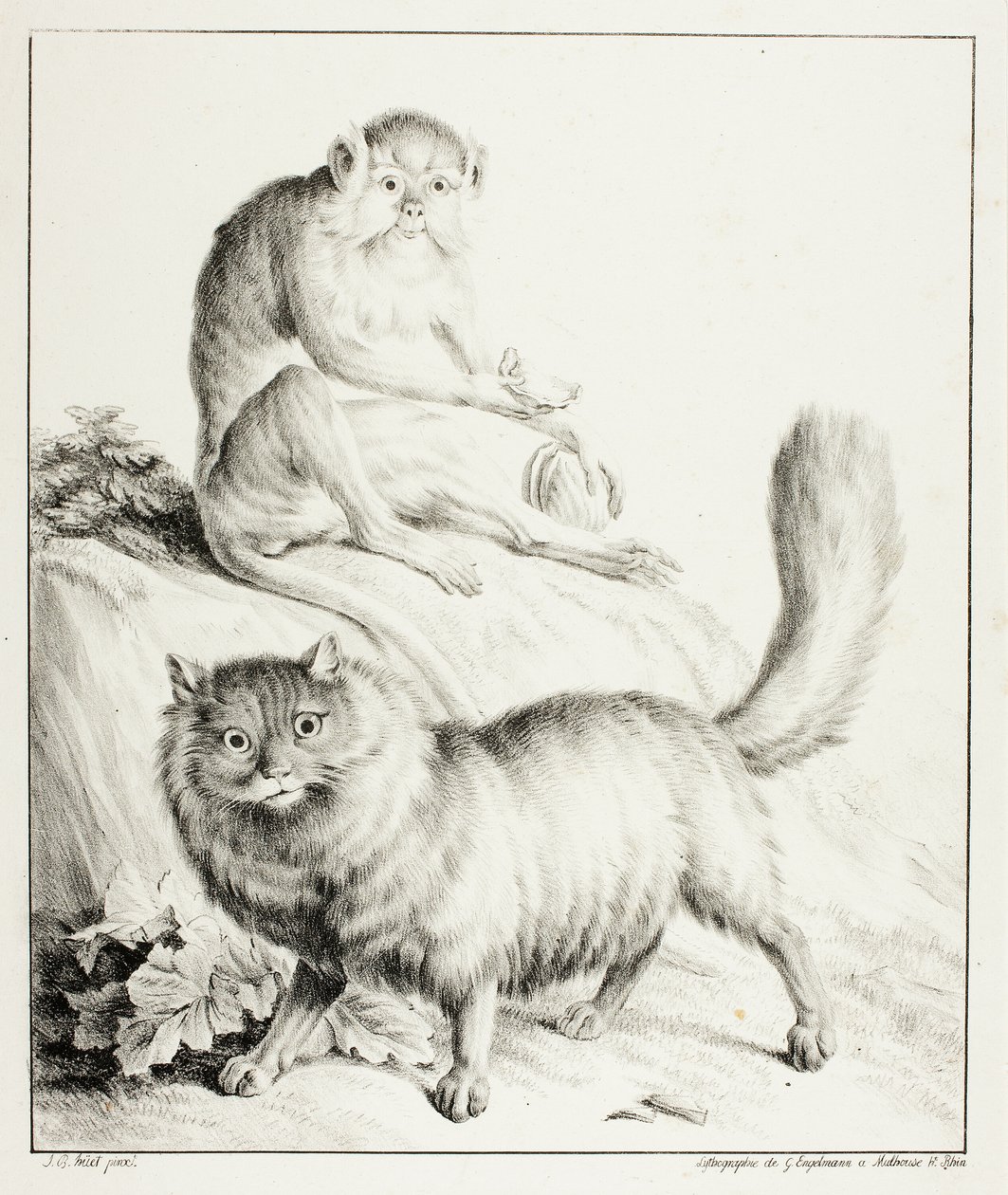 Katt og ape av Gottfried Engelmann