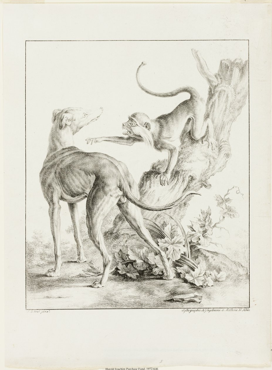 Hund og ape av Gottfried Engelmann