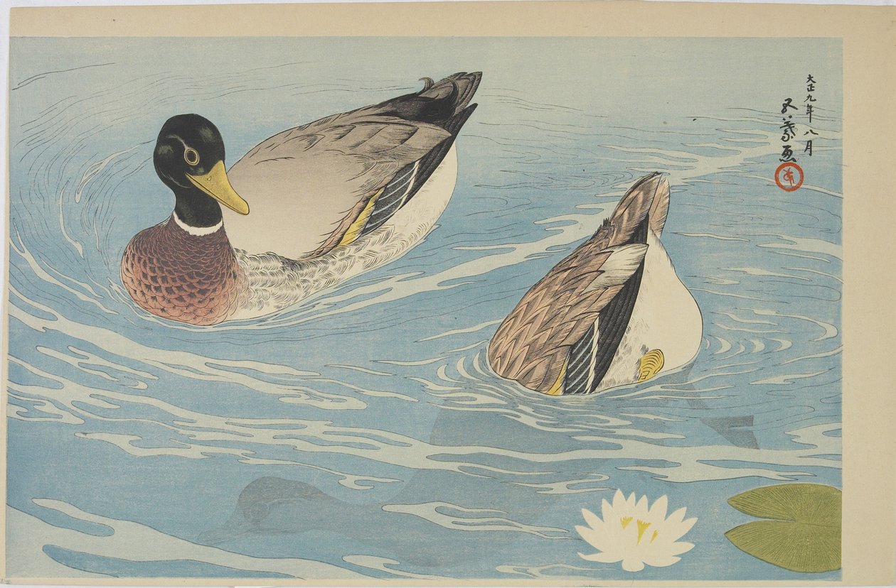 Ducks, august 1920 av Goyo Hashiguchi