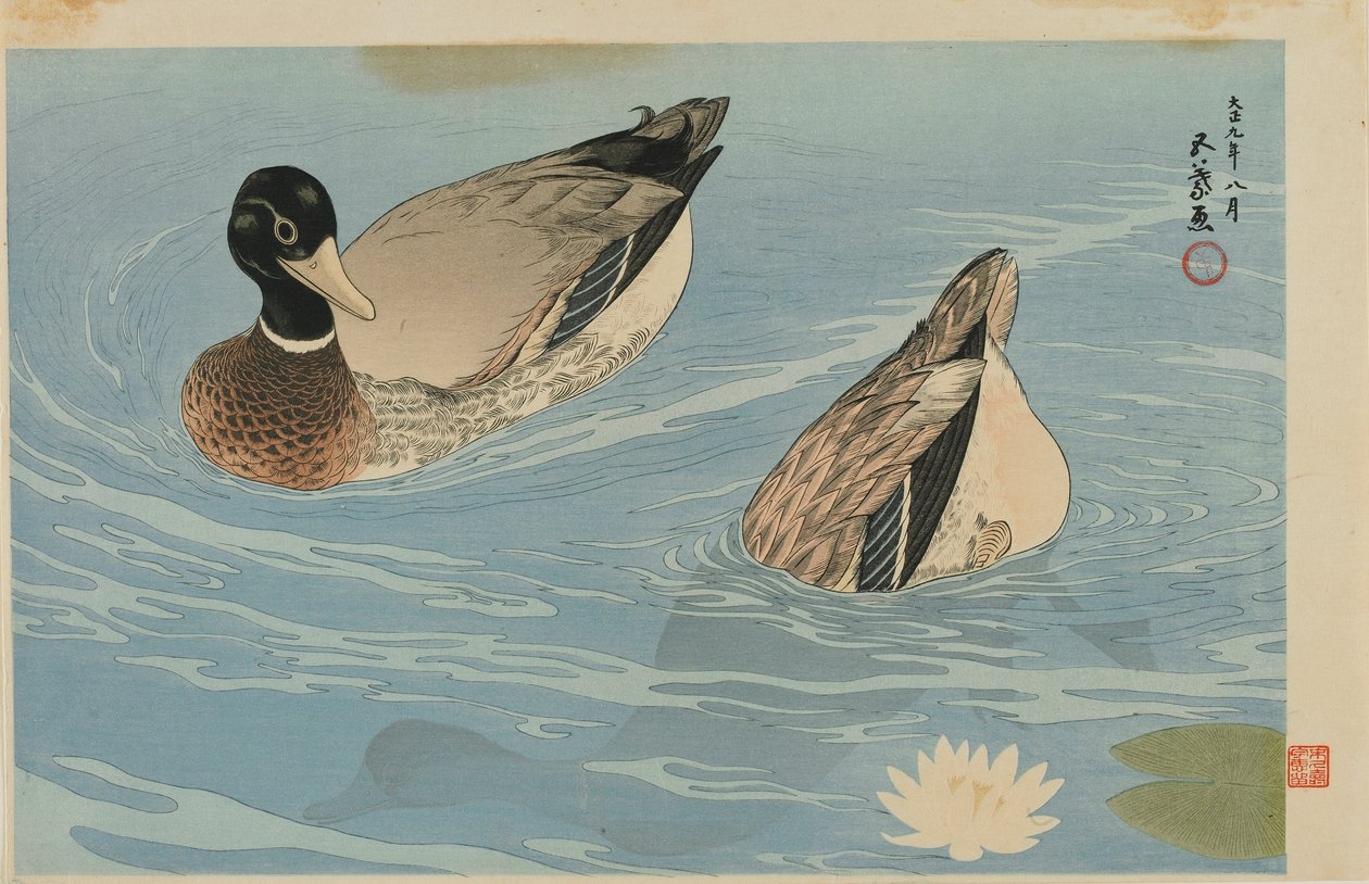 Ducks, Taisho-tiden, august 1920 (farget treblokktrykk) av Goyo Hashiguchi