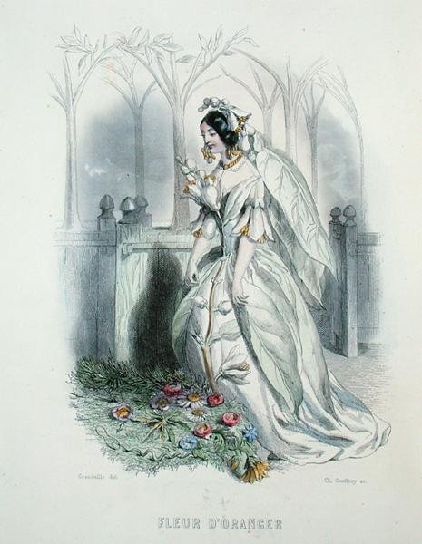 The Orange Blossom, fra 