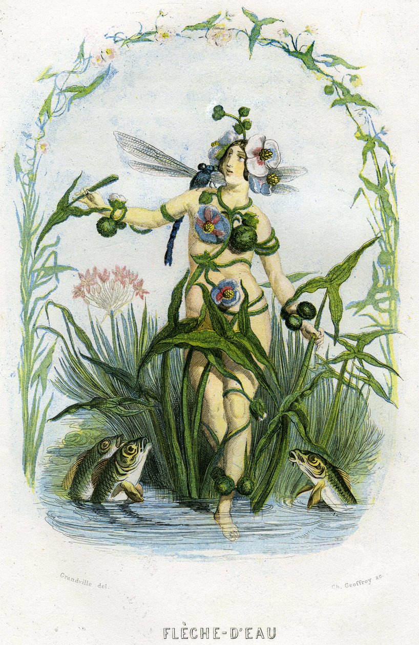  av Grandville (1803 47)