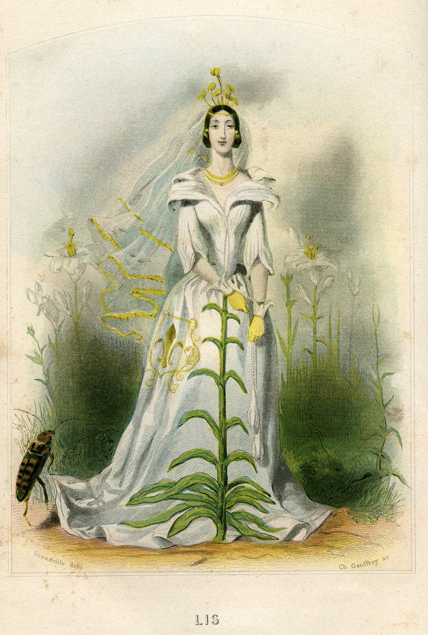  av Grandville (1803 47)
