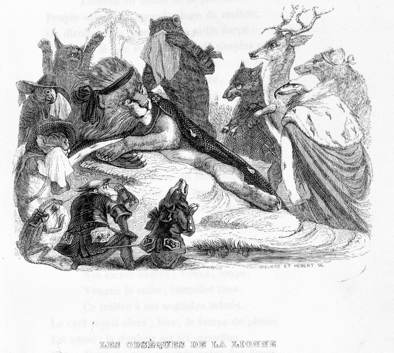 Begravelsen til løvinnen - i "" Fables de La Fontaine"" ill. av Grandville av Grandville