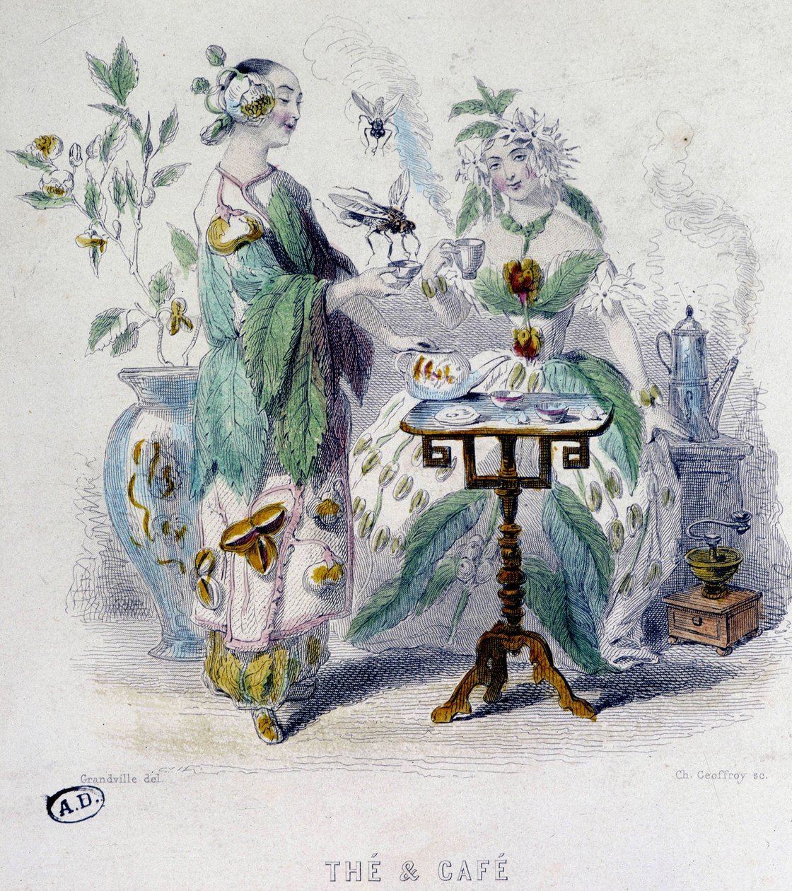 Allegori av "" te og kaffe"" av Grandville, sd. 1800-tallet av Grandville