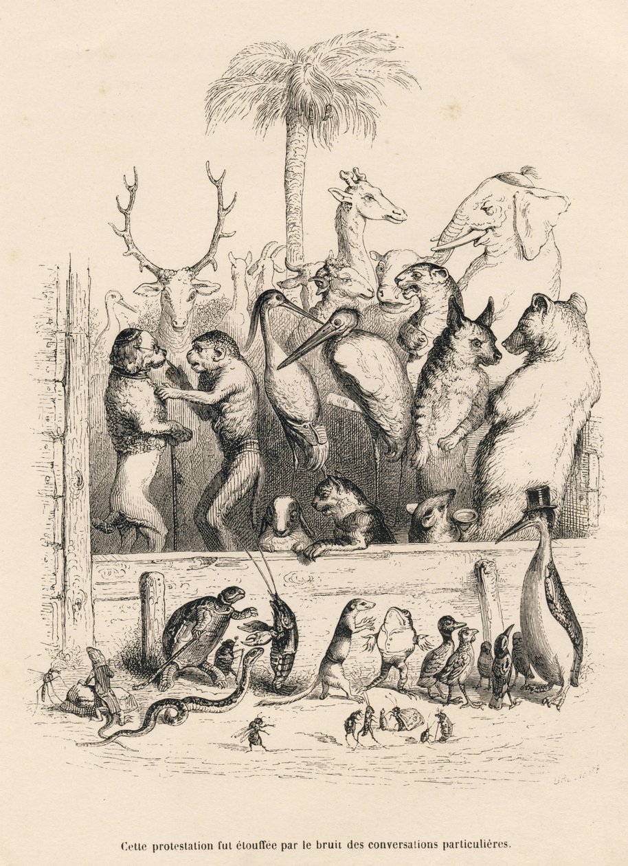 Samtale mellom dyr. Miniatyrbilder illustrert av JJ Granville. Gravering signert Breviere i prologen med tittelen "Parlamentary Summary" skrevet av PJ Stahl i "Scener fra dyrenes private og offentlige liv". Paris, J. Hetzel og Paulin av Grandville