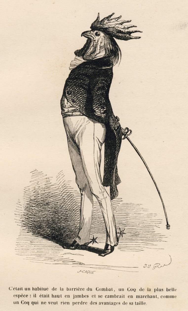 Hane vant til den stolte kjøpmannskampbarrieren. Miniatyrbilder illustrert av JJ Granville. Gravering signert Caque i delen "Story of a Hare" skrevet av PJ Stahl i "Scener fra dyrenes private og offentlige liv". Paris, J. Hetzel og Paulin av Grandville