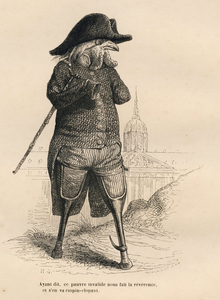 Hane ugyldig foran hotel des invalides i Paris. Miniatyrbilder illustrert av JJ Granville. Gravering signert Andrew, Best og Leloir i delen med tittelen "De medisinske dyrene" skrevet av Pierre Bernard i "Scener fra dyrenes private og offentlige liv". av Grandville