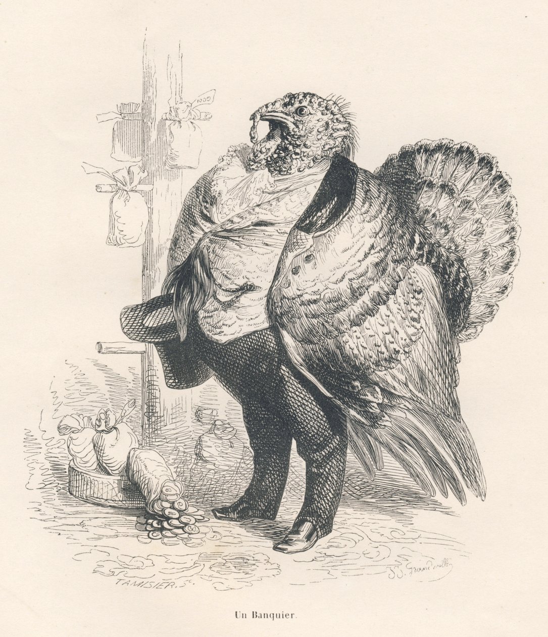 Tyrkia som bankmann. Miniatyrbilder illustrert av JJ Granville. Gravering signert Tamisier i delen med tittelen "Memories of an old crow" skrevet av PJ Stahl i "Scener fra dyrenes private og offentlige liv". Paris, J. Hetzel og Paulin av Grandville