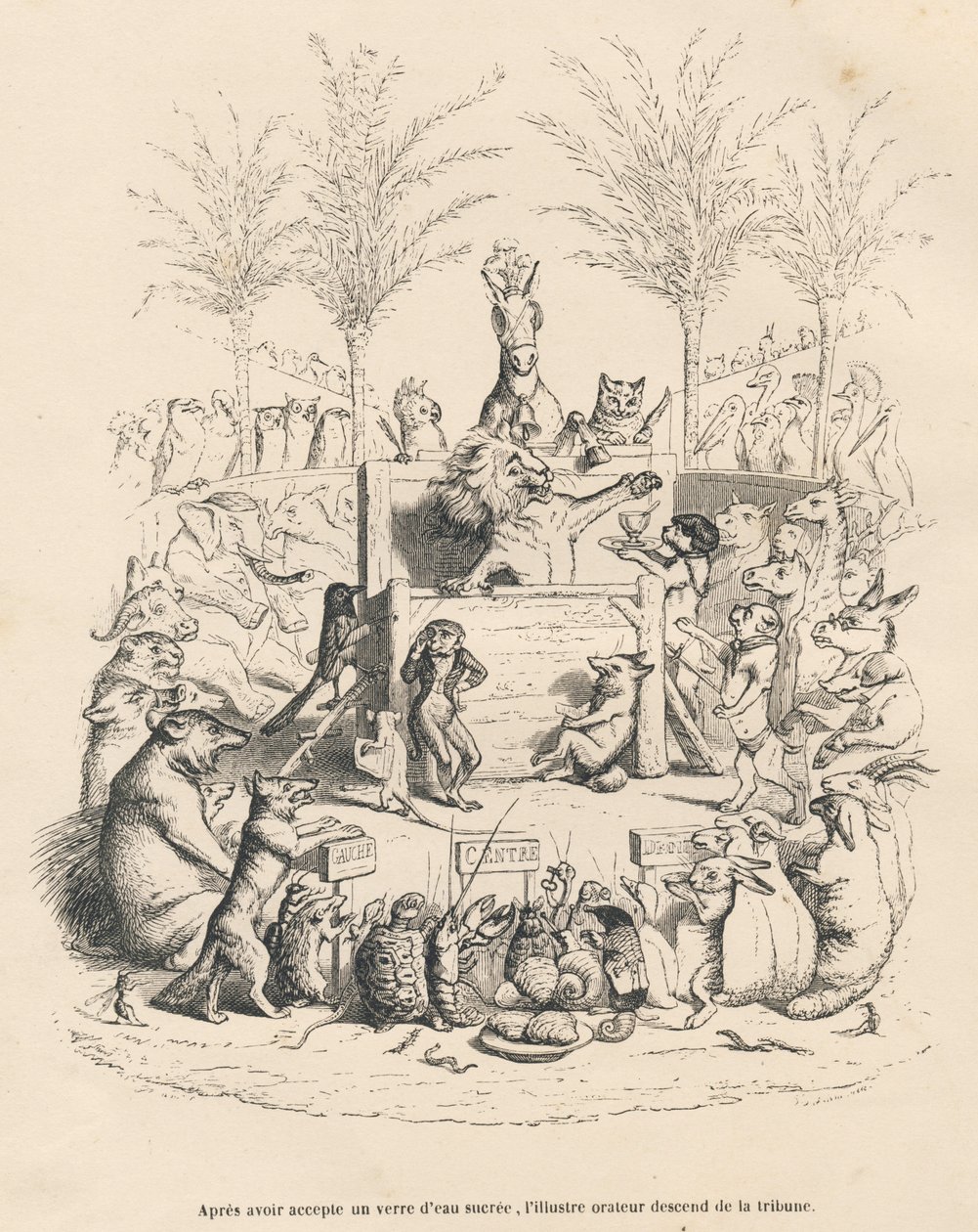 Løvens politiske tale på en tribune omgitt av alle de andre dyrene. Miniatyrbilder illustrert av JJ Granville. Gravering signert Godard i prologen med tittelen "Parlamentary Summary" skrevet av PJ Stahl i "Scenes de la vie privee et publique des an av Grandville