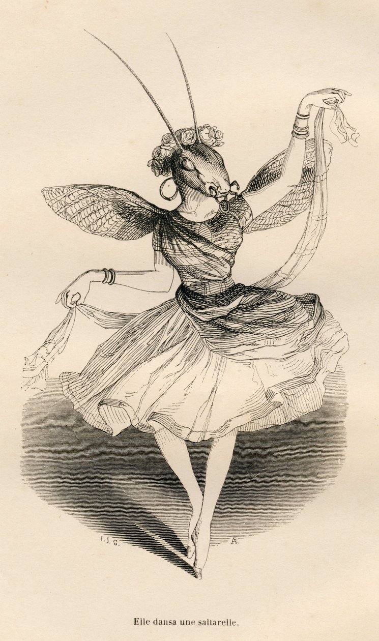 Hun danset en saltarell. Miniatyrbilder illustrert av JJ Granville. Gravering signert Andrew, Best og Leloir i delen med tittelen "The adventures of a butterfly" skrevet av PJ Stahl i "Scener fra dyrenes private og offentlige liv". Paris, J. Hetzel og Pau av Grandville