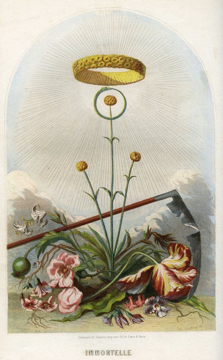 av Grandville (1803 47)