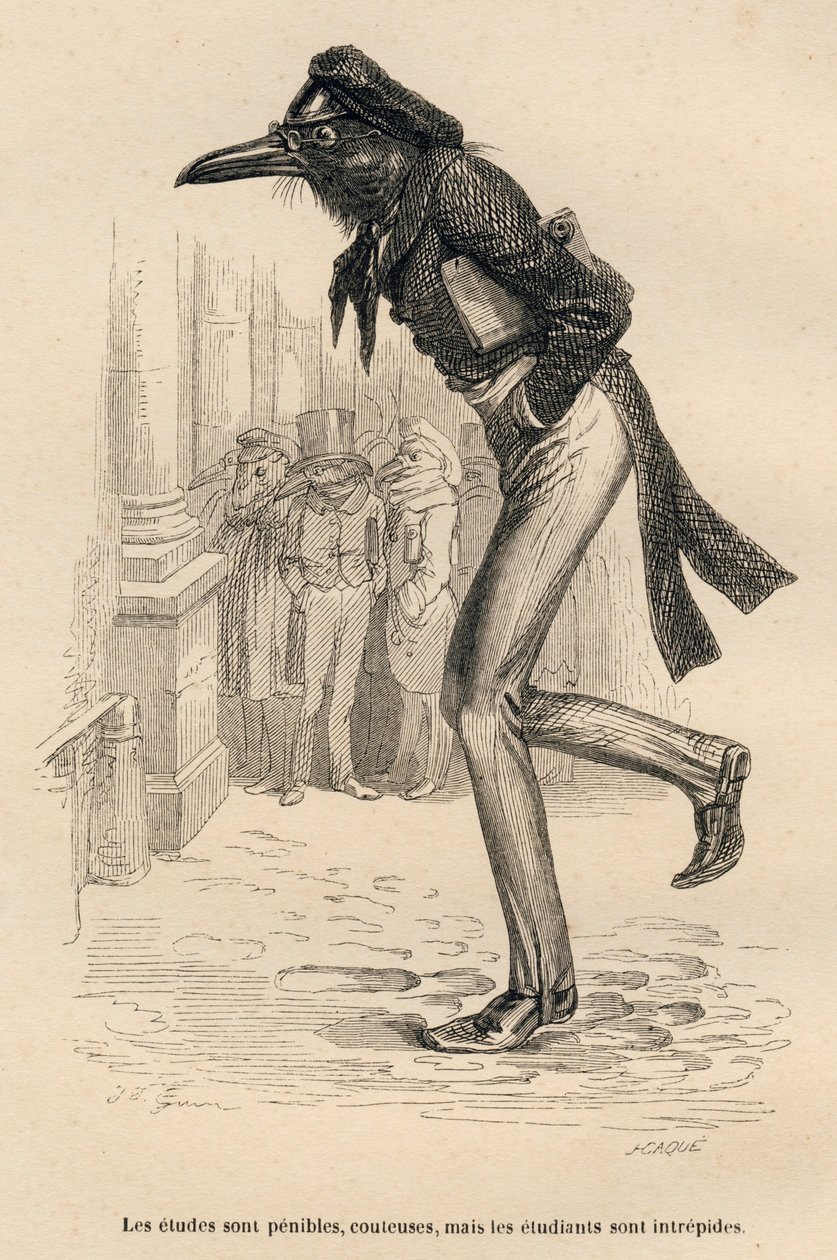 Studiene er vanskelige, dyre, men studentene er uforferdede. Miniatyrbilder illustrert av JJ Granville. Gravering signert Caque i delen med tittelen "Dyrelegene" skrevet av Pierre Bernard i "Scener fra dyrenes private og offentlige liv av Grandville