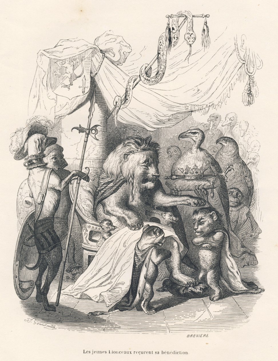 Unge løveunger mottar løvekongens velsignelse. Vignetter illustrert av JJ Granville. Gravering signert Breviere i delen med tittelen "Voyage of an African lion in Paris" skrevet av Honore de Balzac i "Scenes de la vie privee et publique des av Grandville