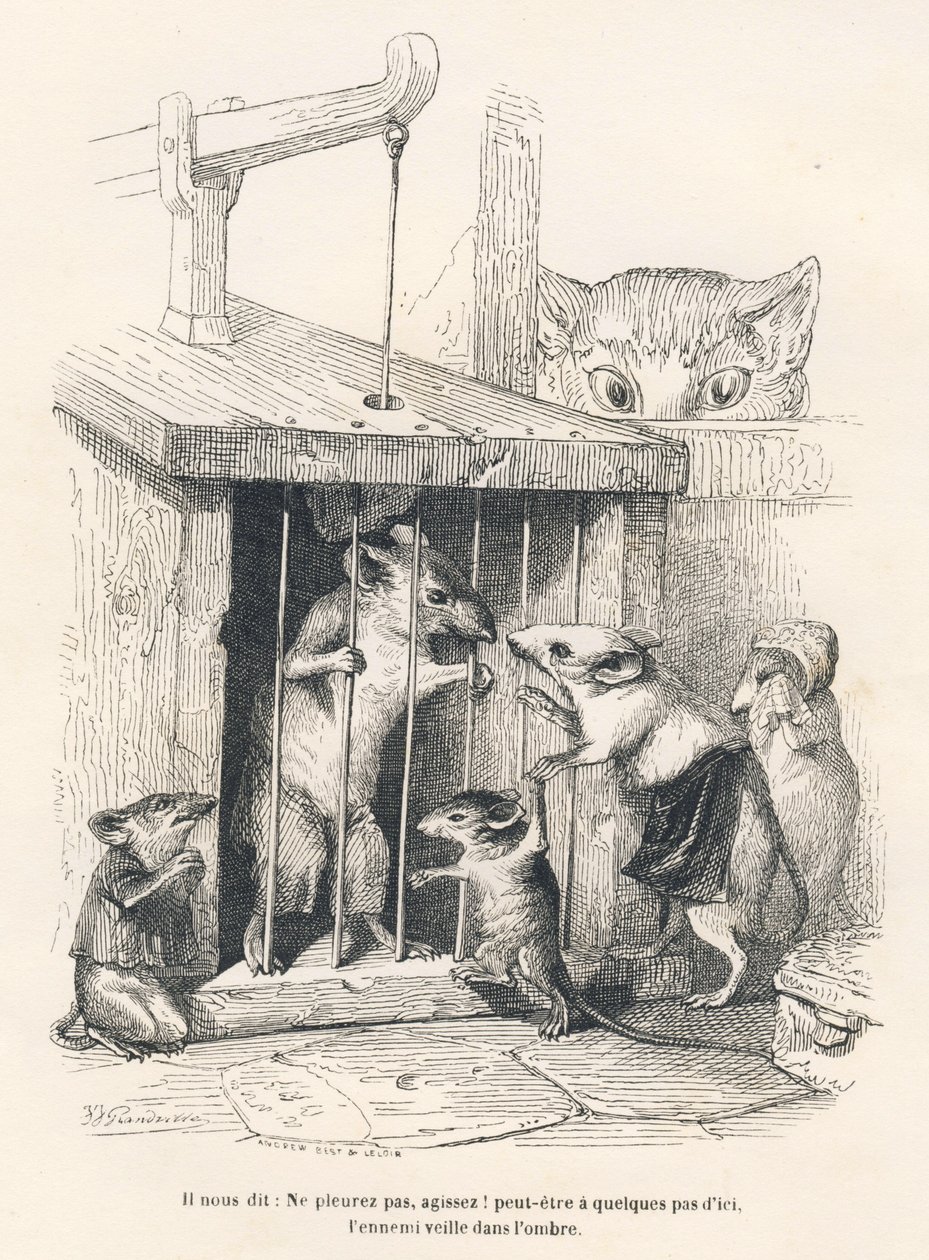 Felle: Katt som ser etter mus som har kommet for å sørge over den som er tatt til fange. Miniatyrbilder illustrert av JJ Granville. Gravering signert Andrew, Best og Leloir i delen med tittelen "The philosopher rat" skrevet av Edouard Lemoine i "Scener av  av Grandville