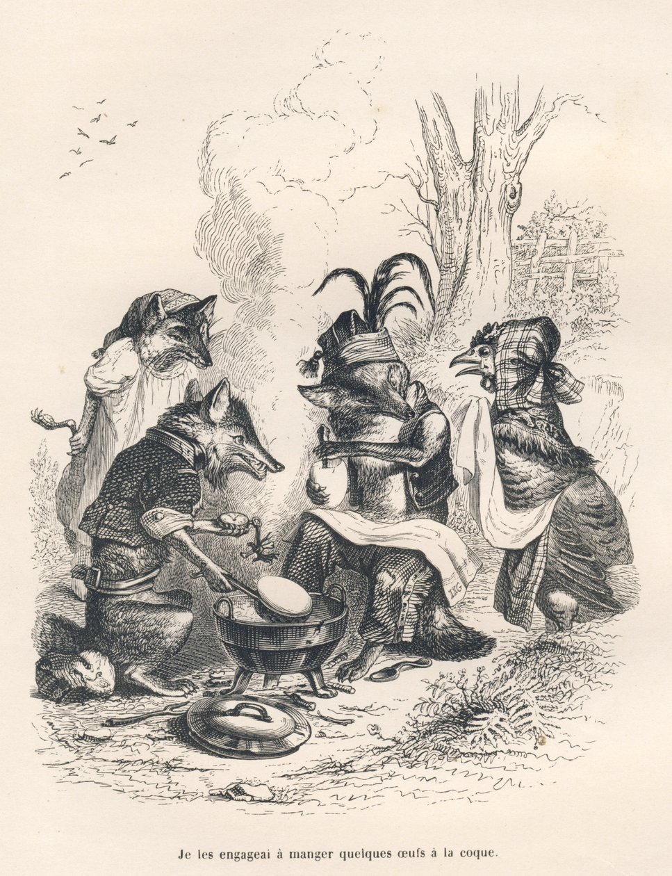 Rever som spiser haneegg foran en gråtende høne. Vignetter illustrert av JJ Granville. Gravering signert Godard i delen med tittelen "En rev fanget i en felle" skrevet av Charles Nodier i "Scener av dyrenes private og offentlige liv". av Grandville