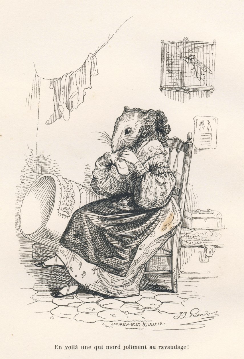 Mus reparerer en sokk. Miniatyrbilder illustrert av JJ Granville. Gravering signert Andrew, Best og Leloir i delen med tittelen "The philosopher rat" skrevet av Edouard Lemoine i "Scener fra dyrenes private og offentlige liv". Paris, J. Hetzel og av Grandville