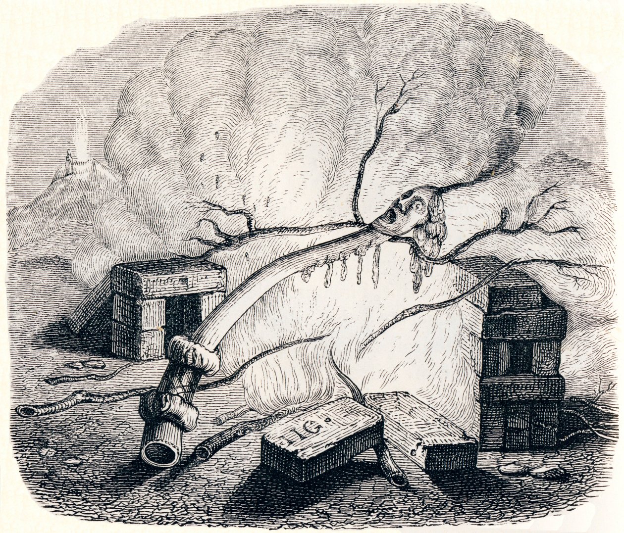 Lyset - Fables av La Fontaine av Grandville