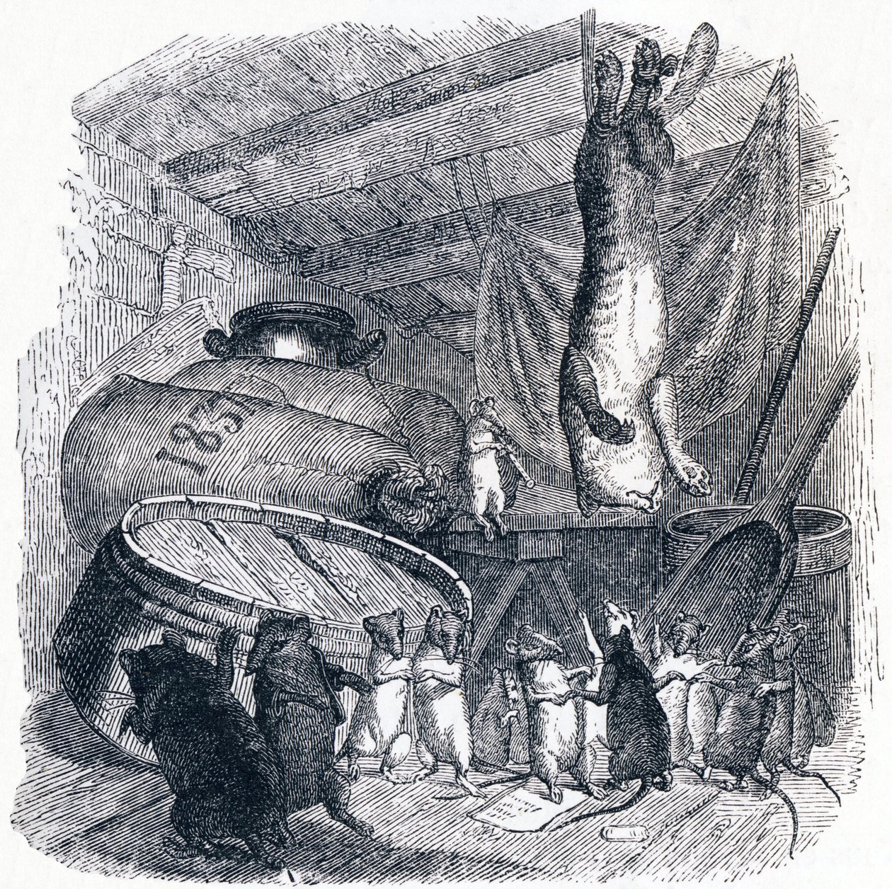 Katten og den gamle rotta (Le chat et un vieux rat) - Fabler av La Fontaine av Grandville