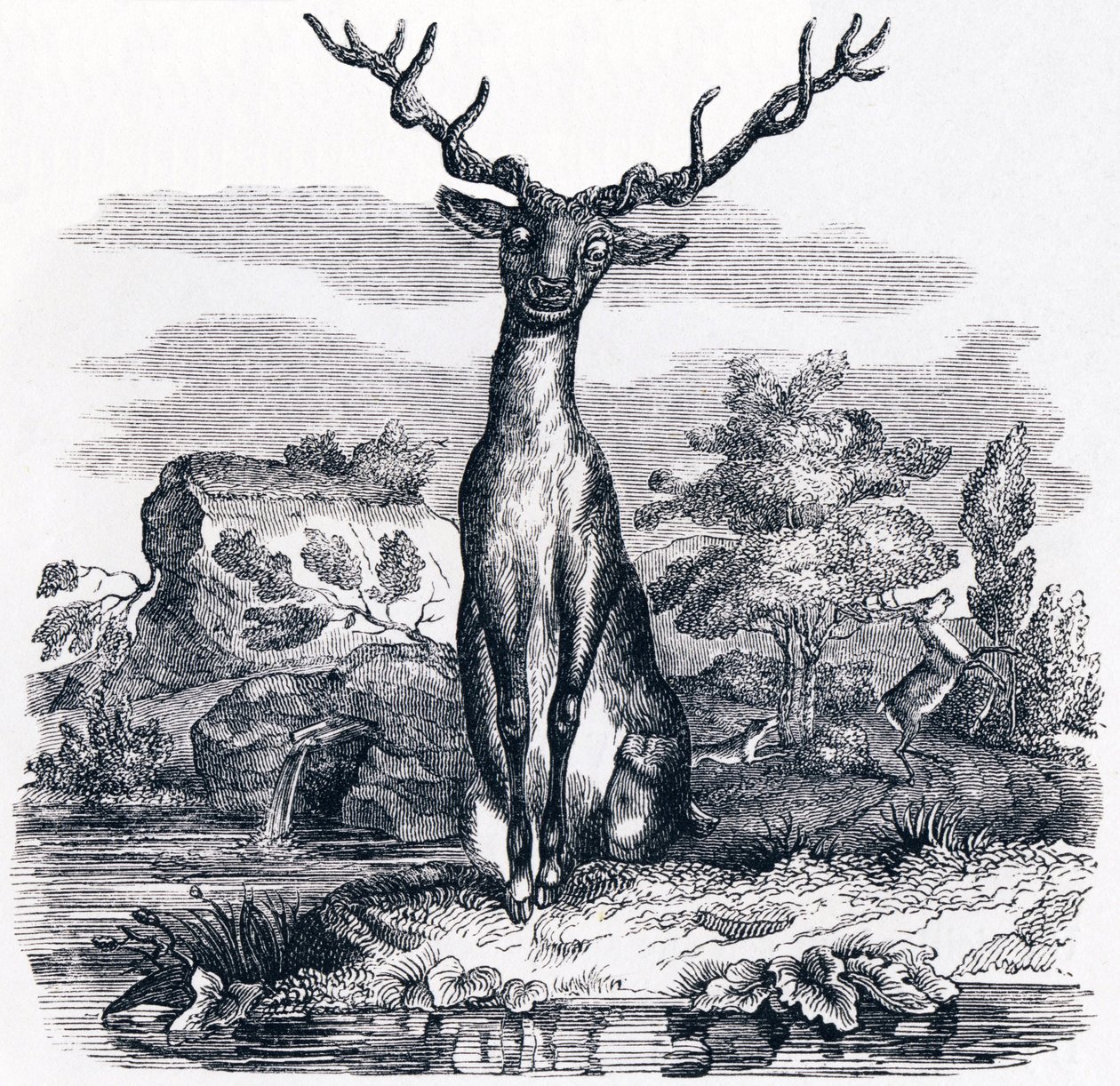Hjorten ser på seg selv i vannet - Fables av La Fontaine av Grandville