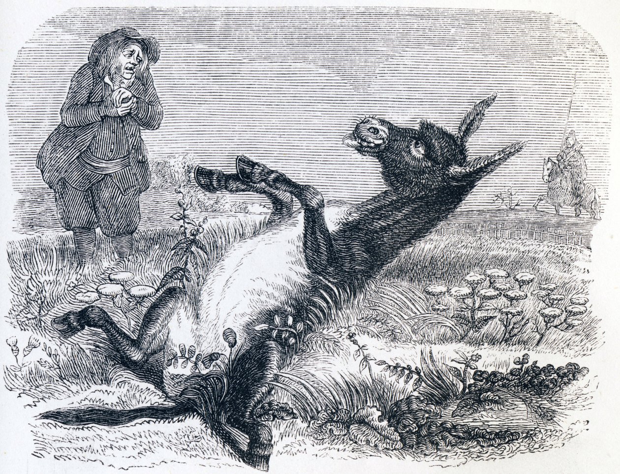Den gamle mannen og reven (Le vieillard et l