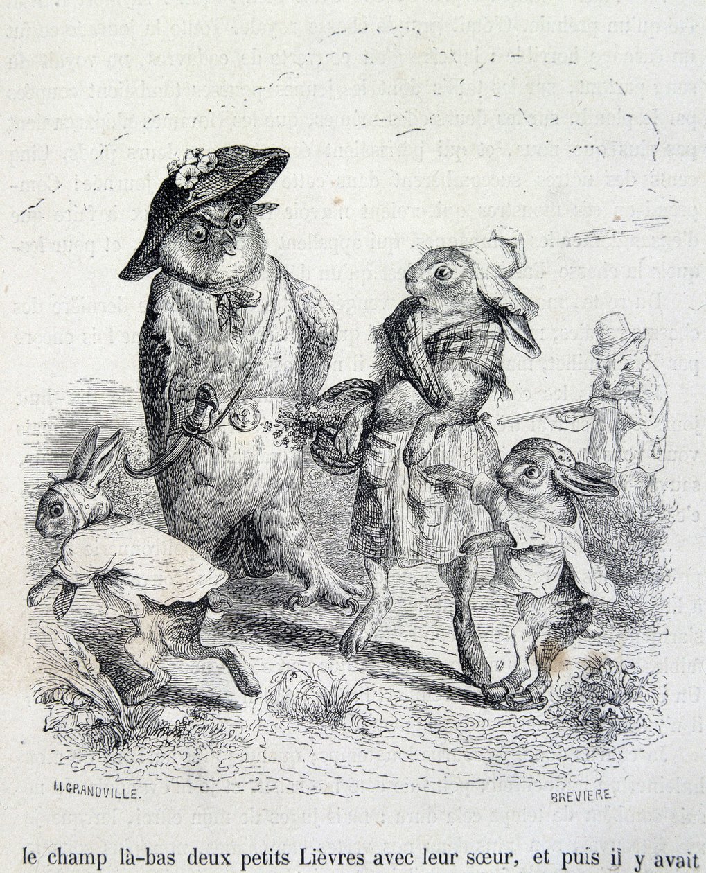 De to små harene, deres søster og uglen - ved Grandville av Grandville