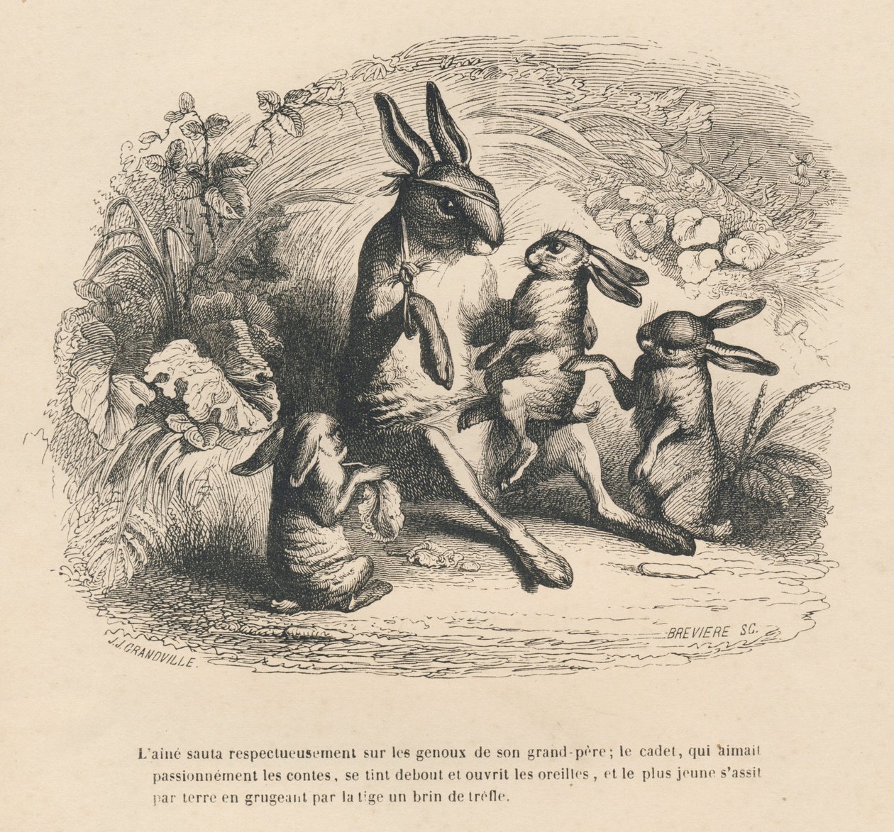 Dere kaninbarn som hører på deres skadde bestefar fortelle historier. Miniatyrbilder illustrert av JJ Granville. Gravering signert Breviere i delen "Story of a hase" skrevet av PJ Stahl i "Scener fra dyrenes private og offentlige liv". Paris av Grandville