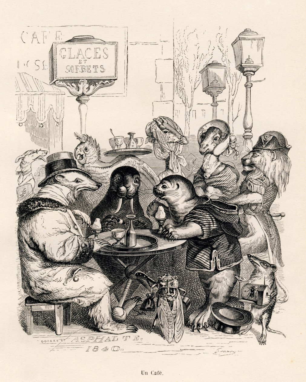 En kafé som besøkes av dyr av alle slag. Miniatyrbilder illustrert av JJ Granville. Gravering signert Godard i delen med tittelen "Journey of an African lion to Paris" skrevet av Honore de Balzac i "Scener fra dyrenes private og offentlige liv". P av Grandville