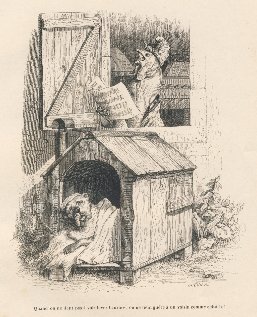 En lat hund i kennelen hans vekket av en hane som galer ved daggry. Miniatyrbilder illustrert av JJ Granville. Gravering signert Breviere i delen "Story of a hase" skrevet av PJ Stahl i "Scener fra dyrenes private og offentlige liv". Paris av Grandville
