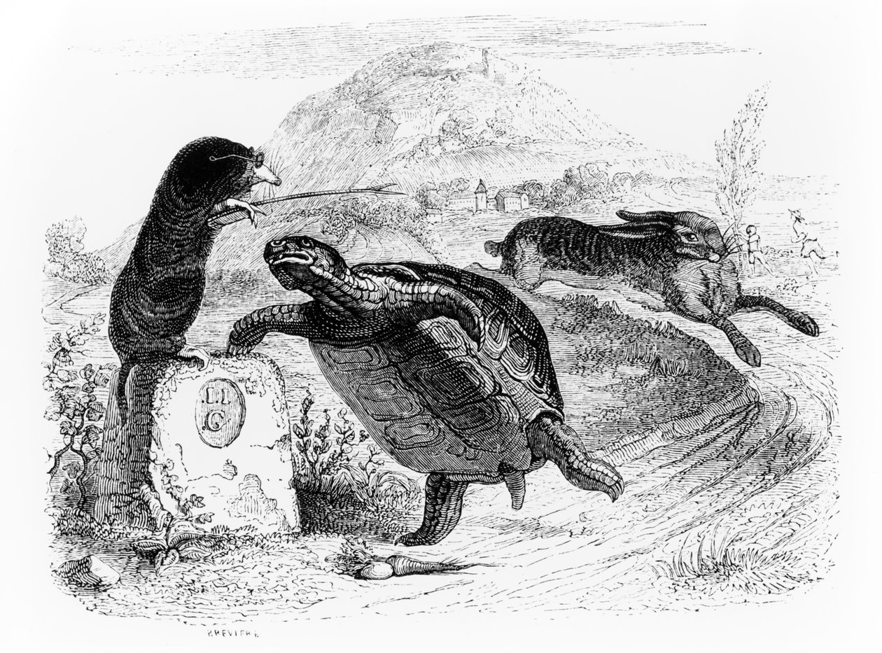 The Hare and the Tortoise, illustrasjon for 
