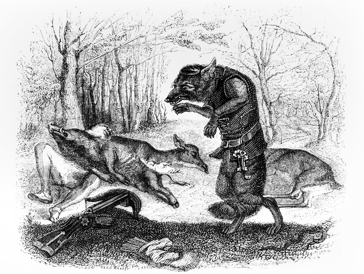 The Wolf and the Hunter, illustrasjon for 