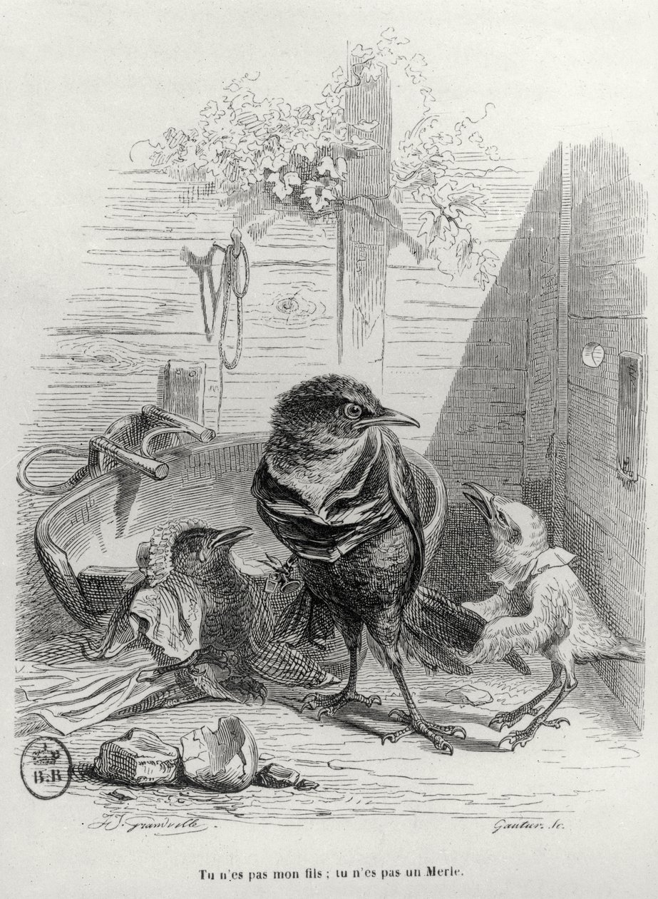 Illustrasjon for LHistoire dun merle blanc, gravert av Gautier av Grandville 1803 47 after Grandville 1803 47 after