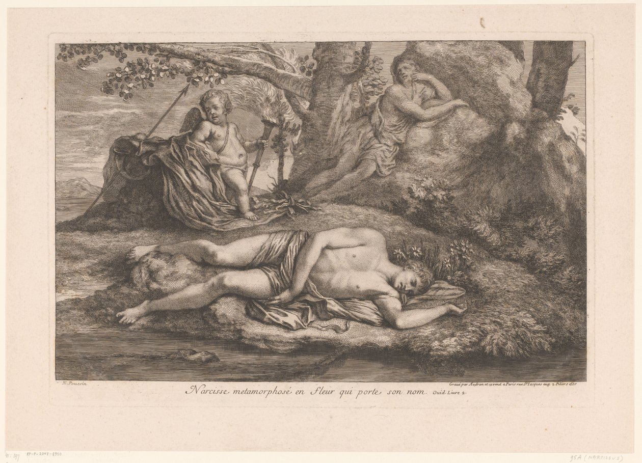 Narcissus i ekko Narcissus forvandlet til en blomst som bærer navnet hans (tittel på objekt) av Gérard Audran