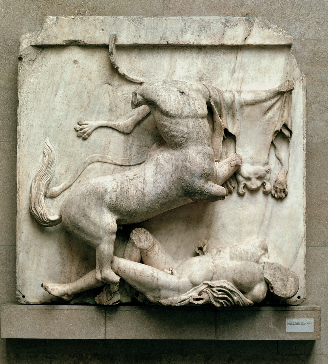 En kentaur som triumferer over en Lapith, metope XXVIII fra sørsiden av Parthenon, 447-432 f.Kr. (marmor) av Greek