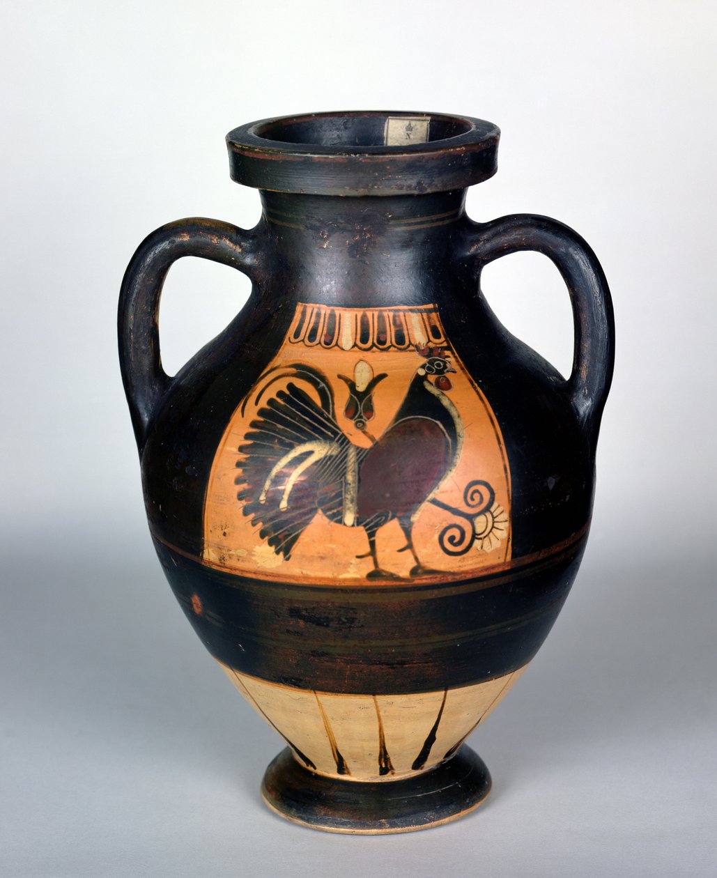 Amfora som viser en hane, Corinthian Style (keramikk) av Greek