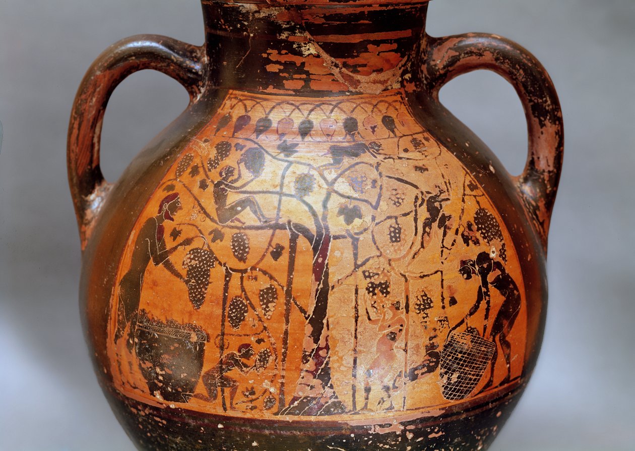 Amfora i Rhodian stil som viser plukking av druer (keramikk) av Greek