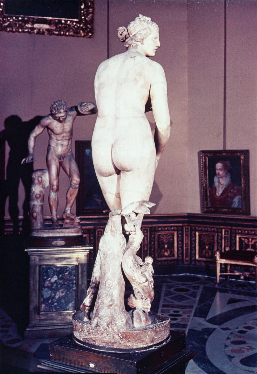 Medici Venus, gresk, tidlig tredje århundre f.Kr. (marmor) av Greek