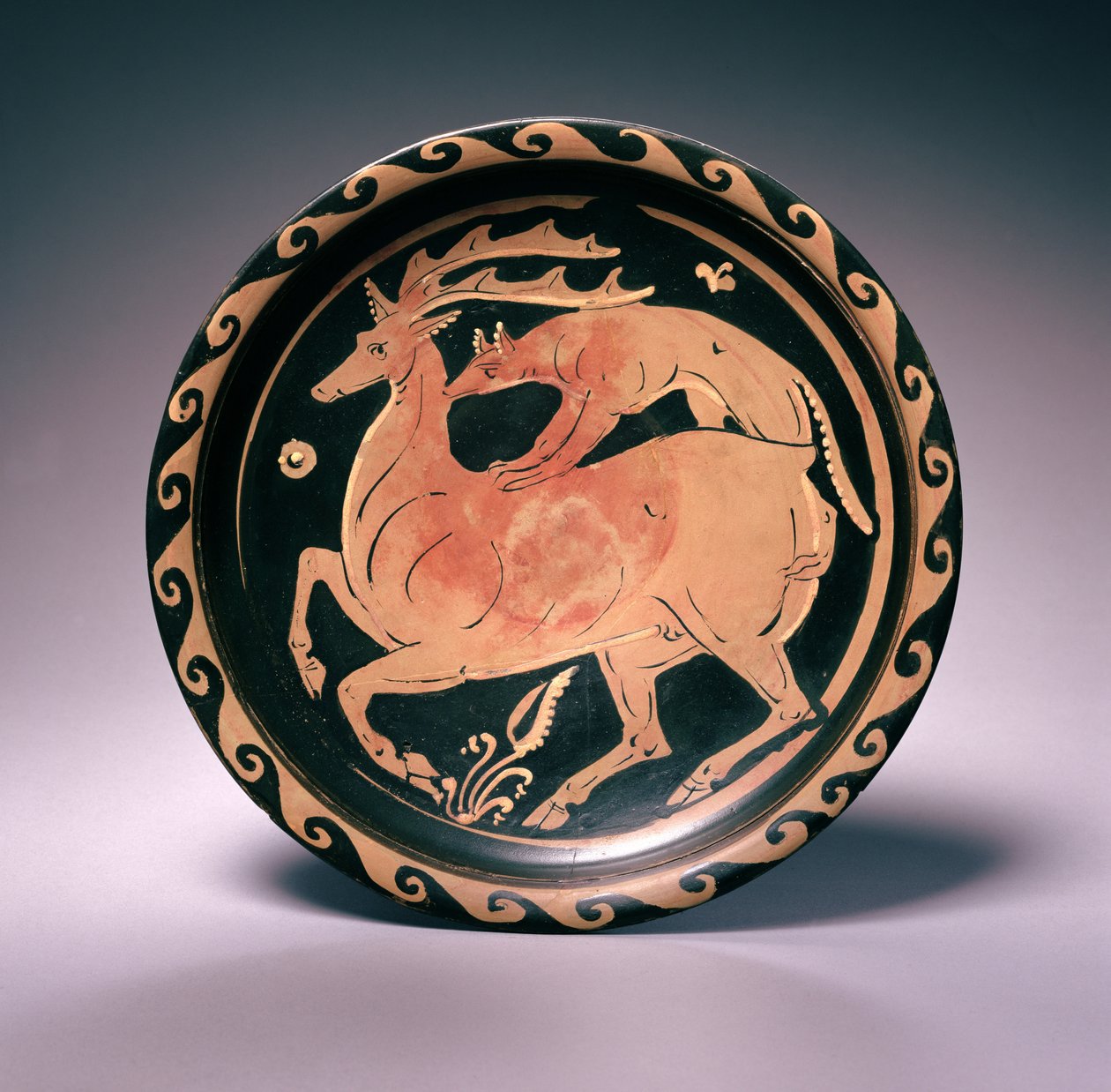 Apulisk rødfigurskål, tilskrevet Lampas-maleren, ca. 350-325 f.Kr. (terrakotta) av Greek School
