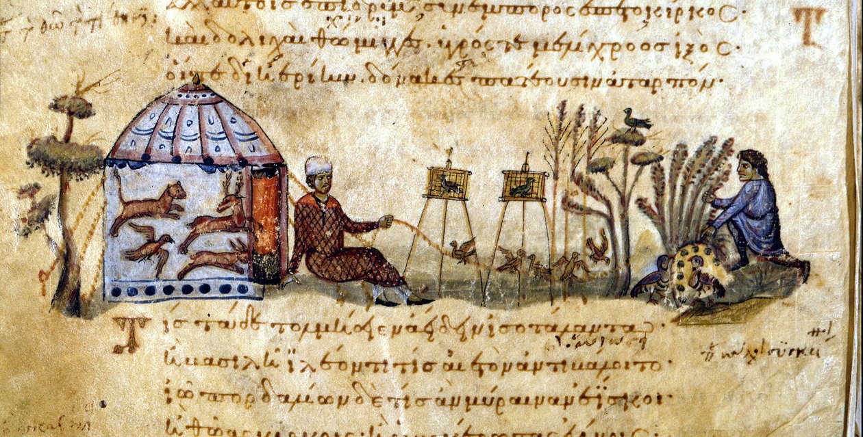 Kallefugler - i "Jakten" av Oppianus, gresk manuskript fra 1200-tallet. Biblioteca Marciana. Venezia av Greek School