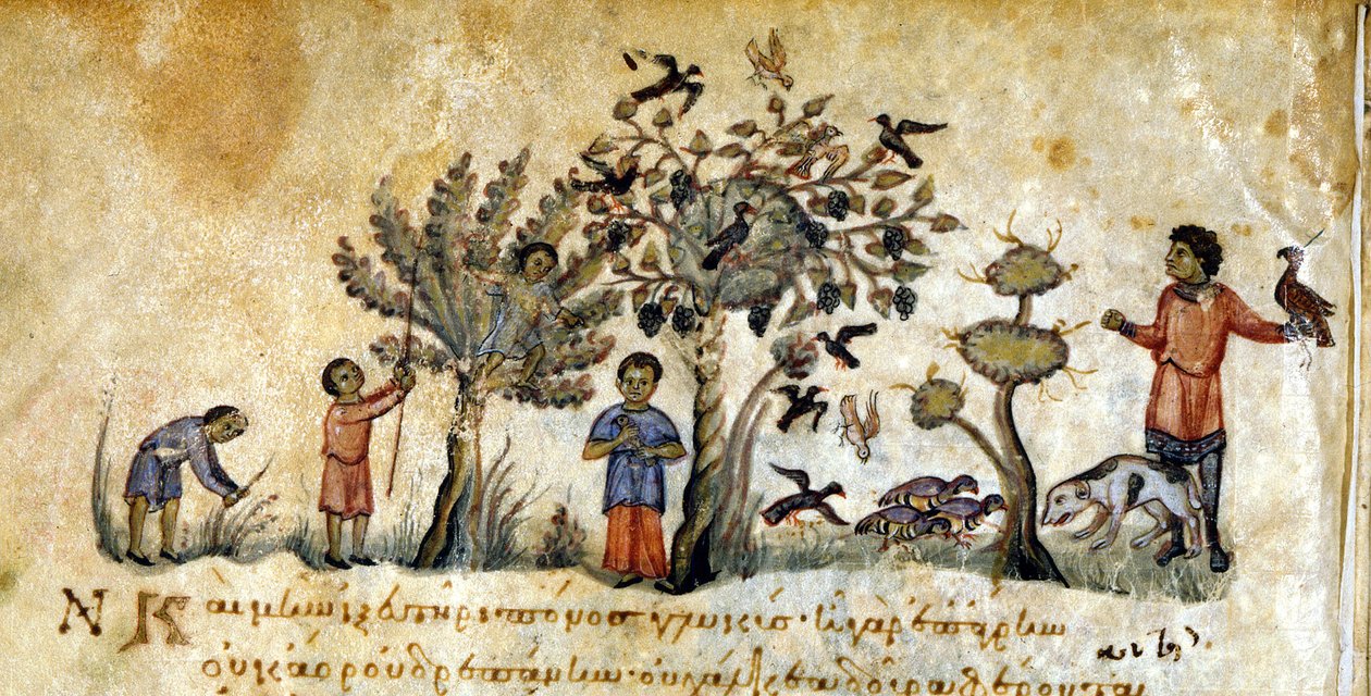 Jakt med falker for å fange fugler - i "" De Venatione"" av Oppianus, gresk manuskript fra 1200-tallet. Biblioteca Marciana. Venezia av Greek School
