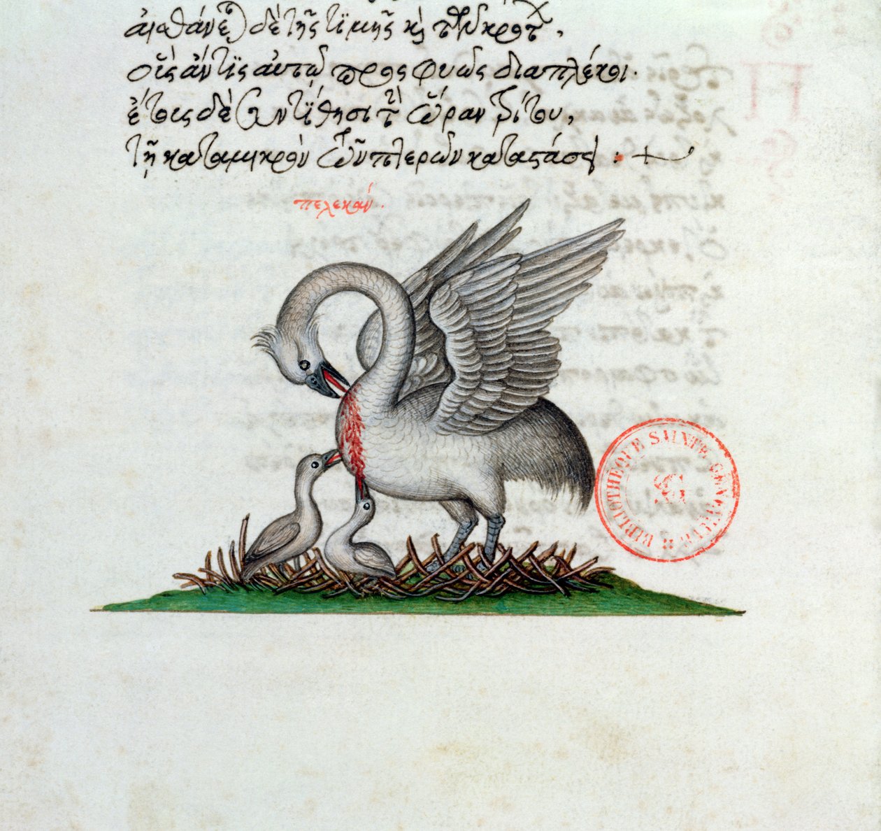 Ms 3401 En pelikan som piercerer brystet for å mate ungene sine, fra et bestiary av Manuel Philes, 1566 av Greek School