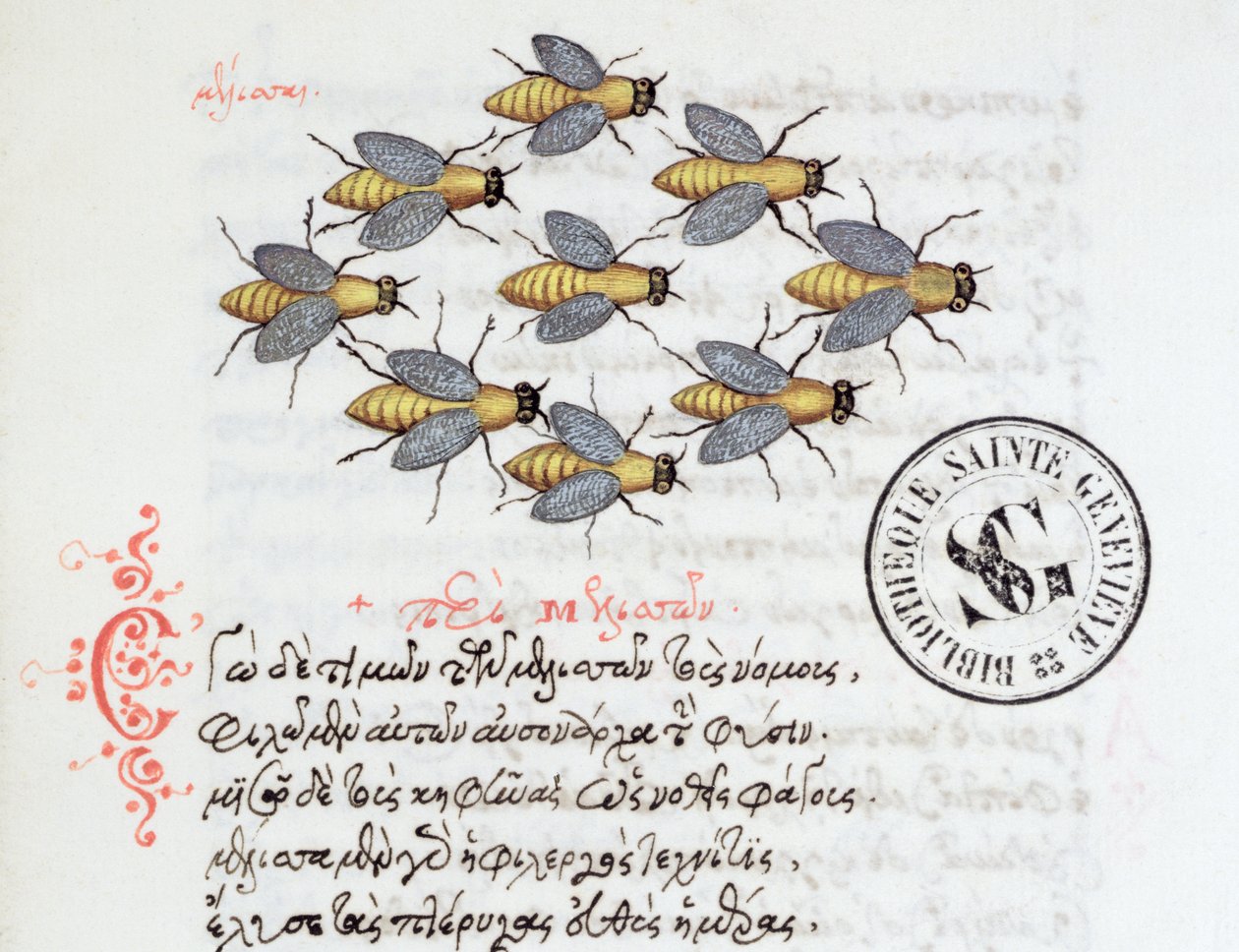 Ms 3402 Bees, fra et bestiary av Manuel Philes, 1566 av Greek School